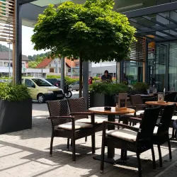 Vojnik Market - Vojnik