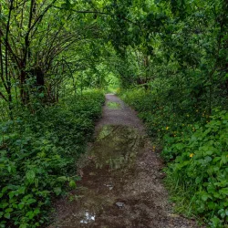 Ljubljanica River Source - Vrhnika