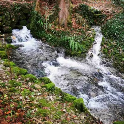 Ljubljanica River Source - Vrhnika