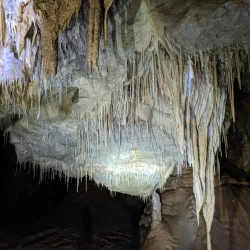 Planina Cave - Vrhnika