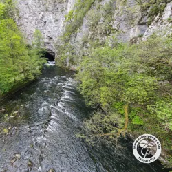 Planina Cave - Vrhnika