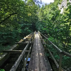 Planina Cave - Vrhnika