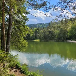 Rakitna Lake - Vrhnika
