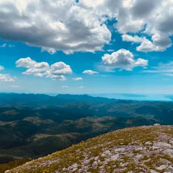 Snežnik Forest - Vrhnika