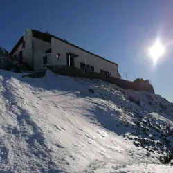 Snežnik Forest - Vrhnika