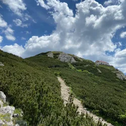 Snežnik Forest - Vrhnika
