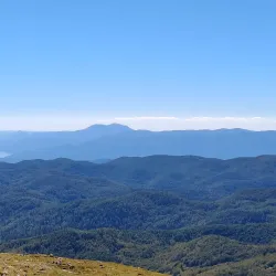 Snežnik Forest - Vrhnika