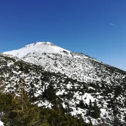 Snežnik Forest - Vrhnika