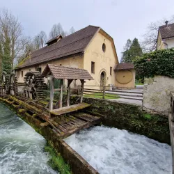 Vrhnika Museum - Vrhnika
