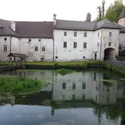 Vrhnika Museum - Vrhnika