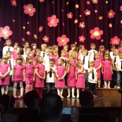 Vrhnika Town Square - Vrhnika