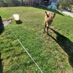 St. Martin's Church - Zagorje ob Savi
