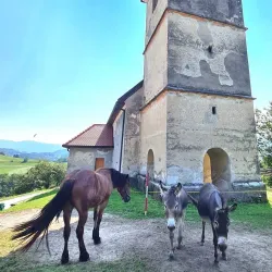 St. Martin's Church - Zagorje ob Savi