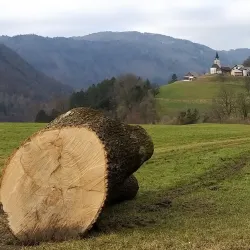 St. Martin's Church - Zagorje ob Savi