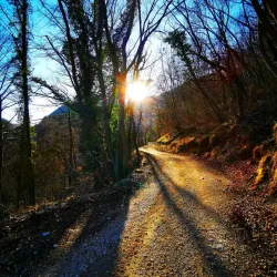 Zagorje ob Savi Town Park - Zagorje ob Savi