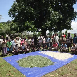 Auki Catholic Cathedral - Auki