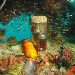 Auki Dive Sites - Auki