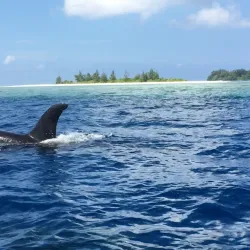 Auki Dive Sites - Auki