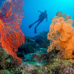 Auki Dive Sites - Auki