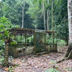 Botanical Gardens - Honiara