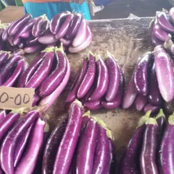 Honiara Central Market - Honiara