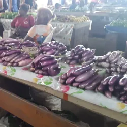 Honiara Central Market - Honiara
