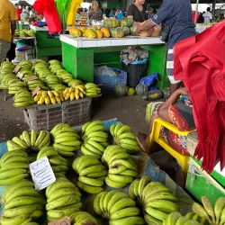 Honiara Central Market - Honiara