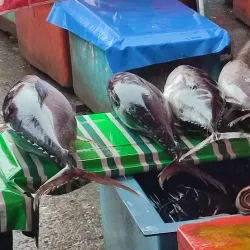 Honiara Central Market - Honiara