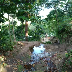 Mataniko Falls - Honiara