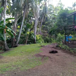 Mataniko Falls - Honiara