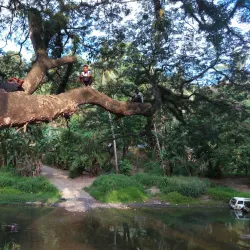 Mataniko Falls - Honiara
