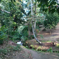 Mataniko Falls - Honiara