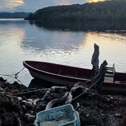 Mbokokimbo Village - Honiara