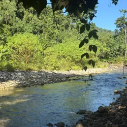 Tenaru Falls - Honiara