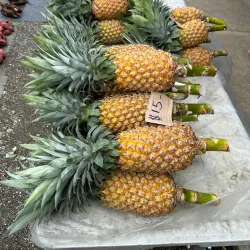 Munda Market - Munda