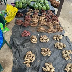 Munda Market - Munda