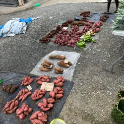 Munda Market - Munda