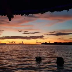 Munda Rainforest Trails - Munda