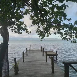 New Georgia Sound - Munda