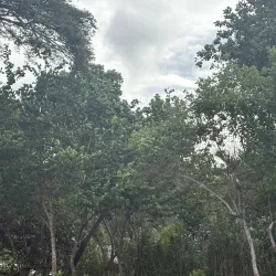 Kokombona Beach - Noro