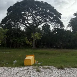 Kokombona Beach - Noro