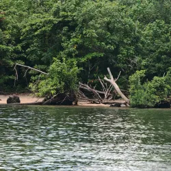 Tetepare Island (nearby) - Noro