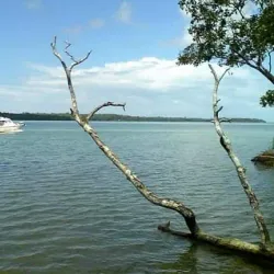 Vonavona Lagoon - Noro