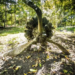 World War II Relics - Noro