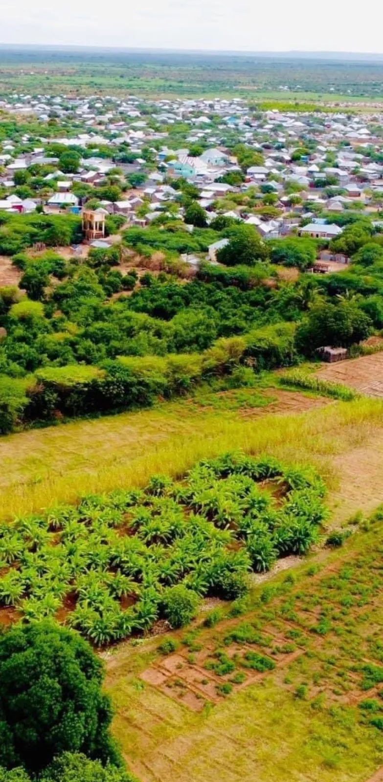 Bardera (Baardheere)