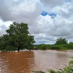 Educational Institutions - Bardera (Baardheere)