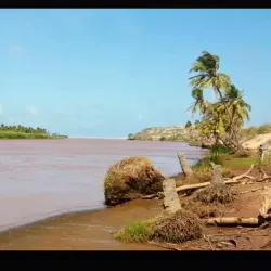 Jubba River - Bardera (Baardheere)