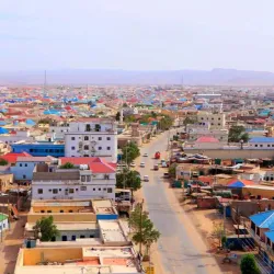 Bari Region Cultural Experiences - Bargal