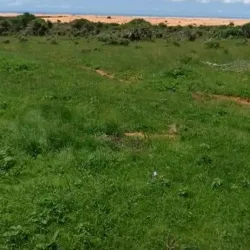 Community Centers - Ceel Dheer