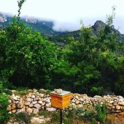 Cal Madow Mountains - Garoowe